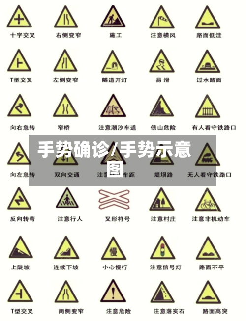 手势确诊/手势示意图